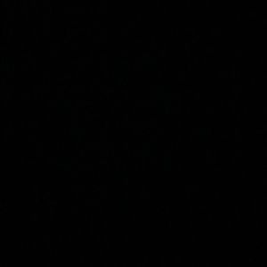 Meet your Posher, Bruno